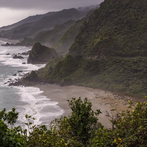 Wild West Coast