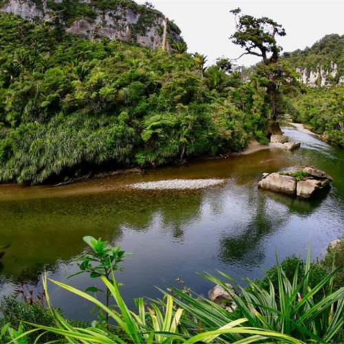 Paparoa Track